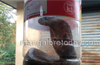 Cobra caught creeping in an office in Bantwal